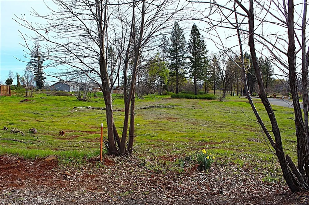Summerwood Paradise, CA 95969