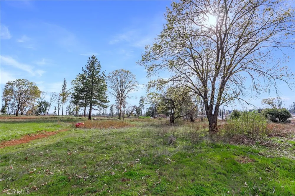 Summerwood Court Paradise, CA 95969
