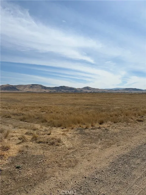 Belmont Trail