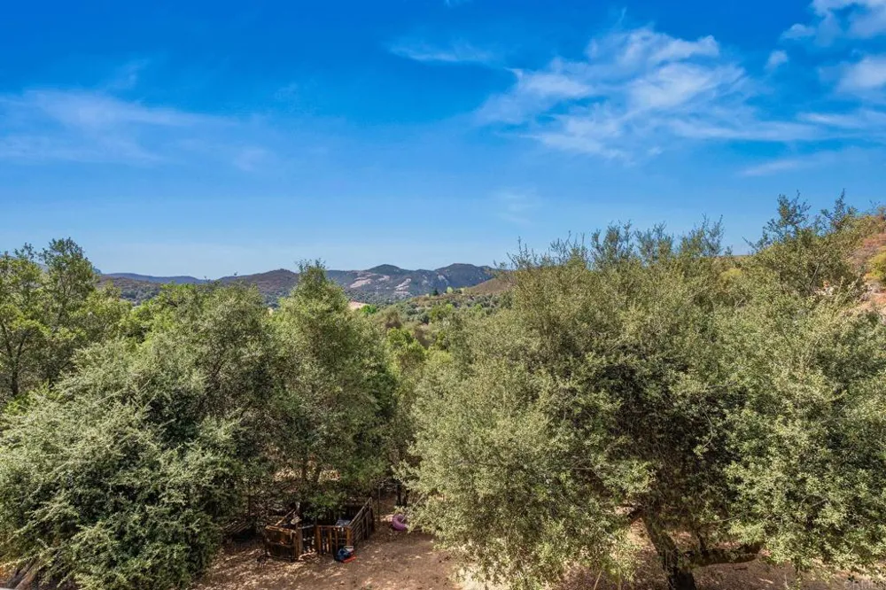 9421 Elm Dr Descanso, CA 91916