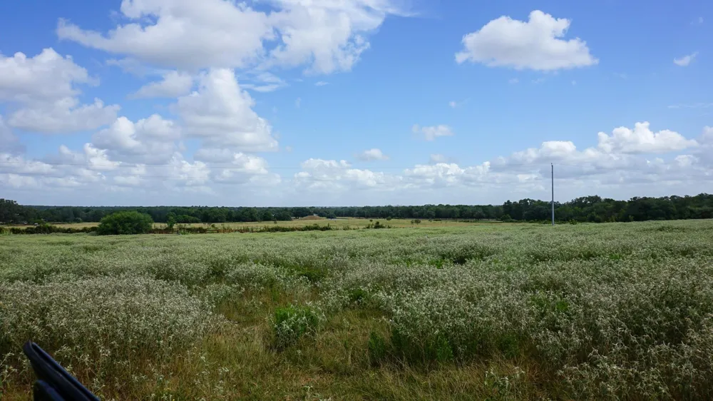 Hranicky Road Schulenburg, TX 78956