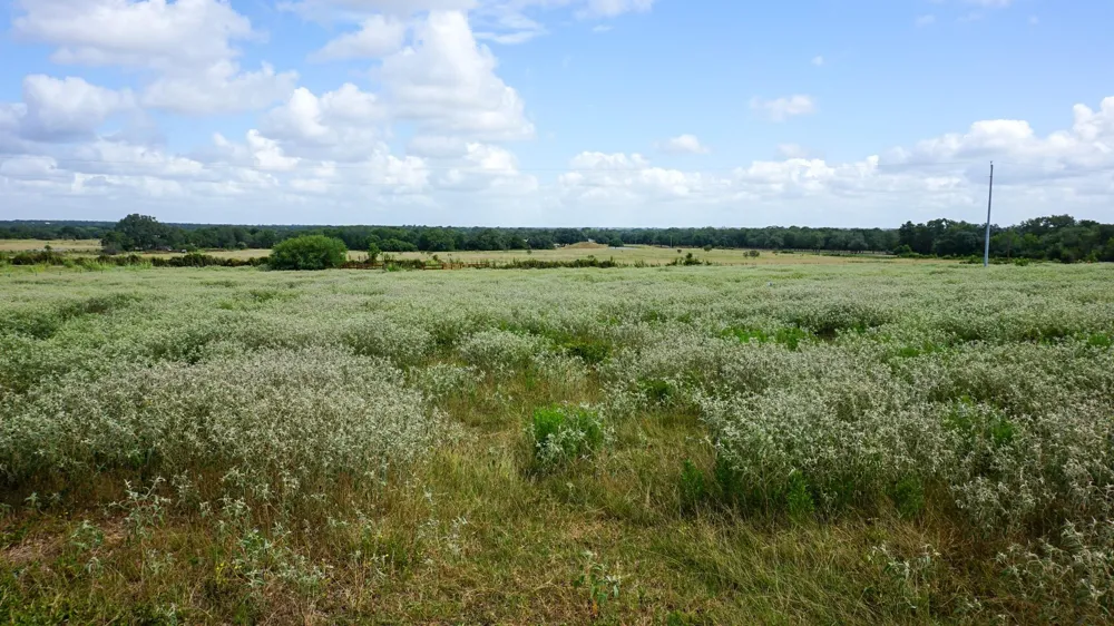 Hranicky Road Schulenburg, TX 78956