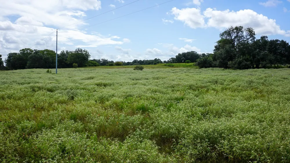 Hranicky Road Schulenburg, TX 78956