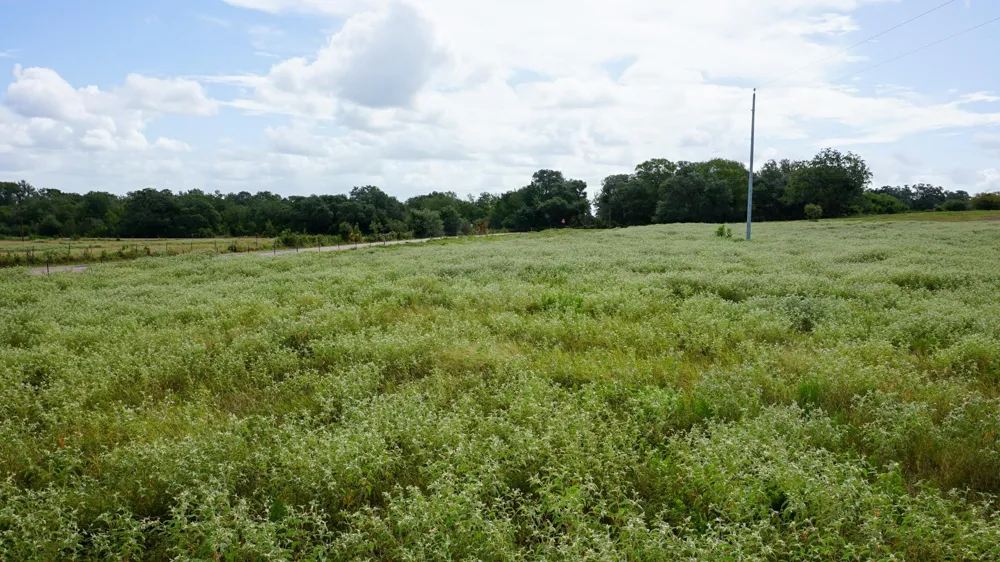 Hranicky Road Schulenburg, TX 78956