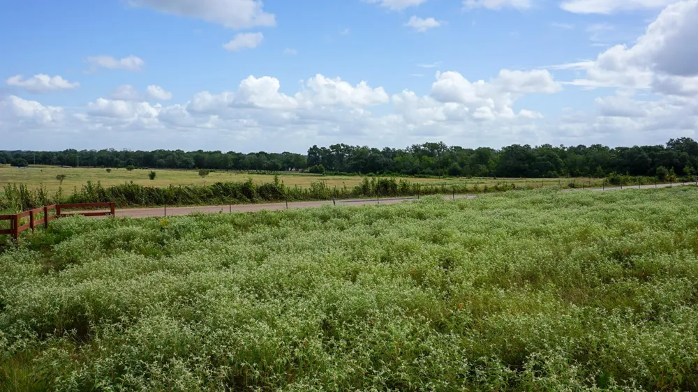 Hranicky Road Schulenburg, TX 78956