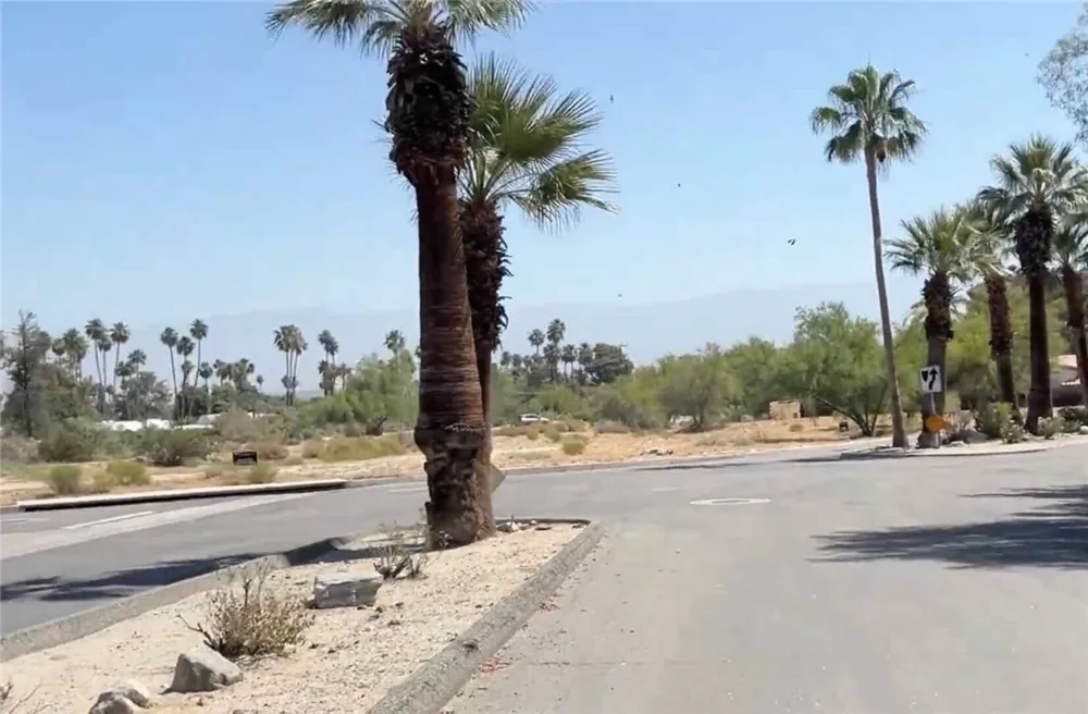 Sun Corral Trail Palm Desert, CA 92260