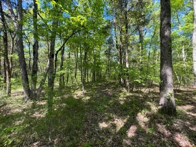 0 Joe Brown Rd Spring Hill, TN 37174