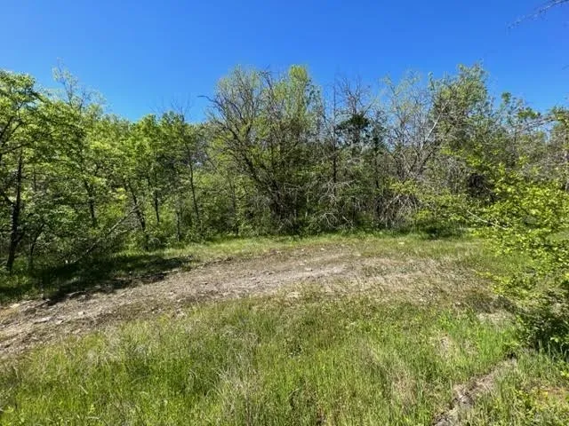 0 Joe Brown Rd Spring Hill, TN 37174