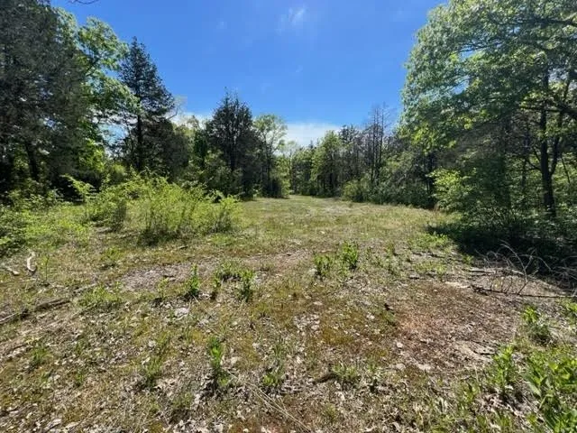 0 Joe Brown Rd Spring Hill, TN 37174