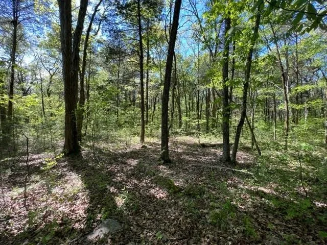 0 Joe Brown Rd Spring Hill, TN 37174
