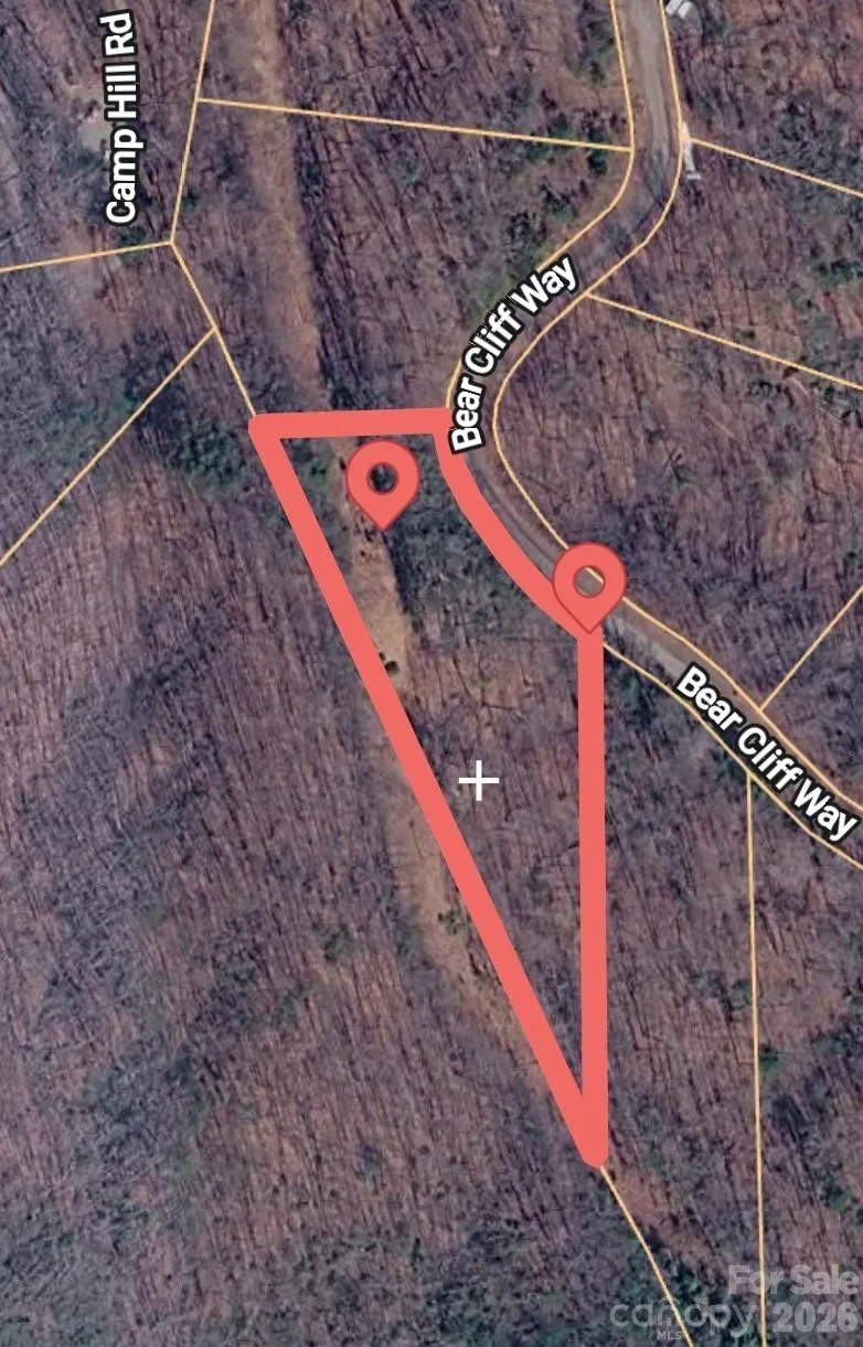 0 Bear Cliff Way #55 Lake Lure, NC 28746