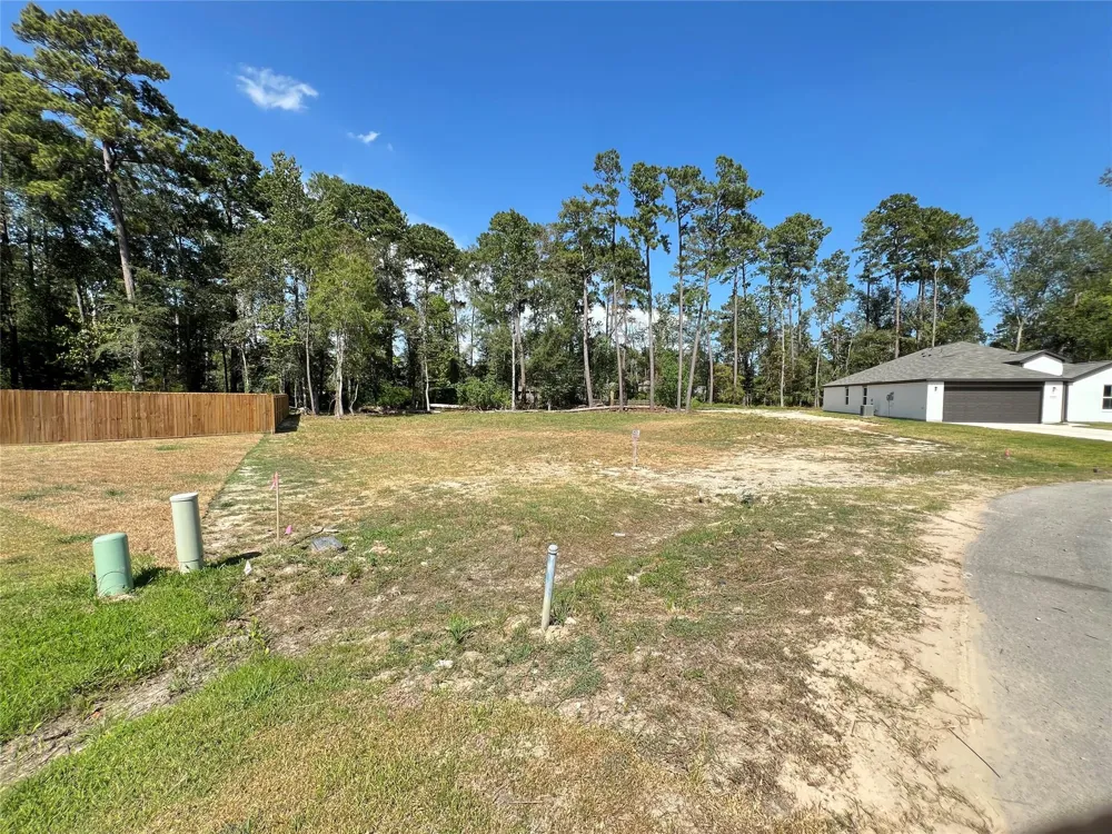 818 Scribe St New Caney, TX 77357