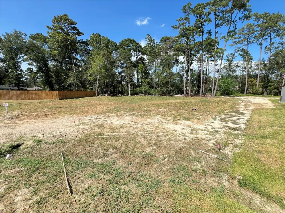 818 Scribe St New Caney, TX 77357