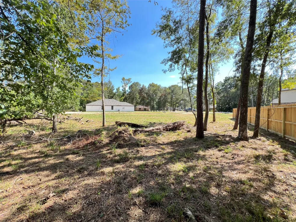 818 Scribe St New Caney, TX 77357