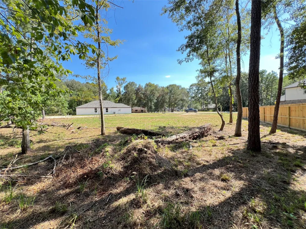 818 Scribe St New Caney, TX 77357