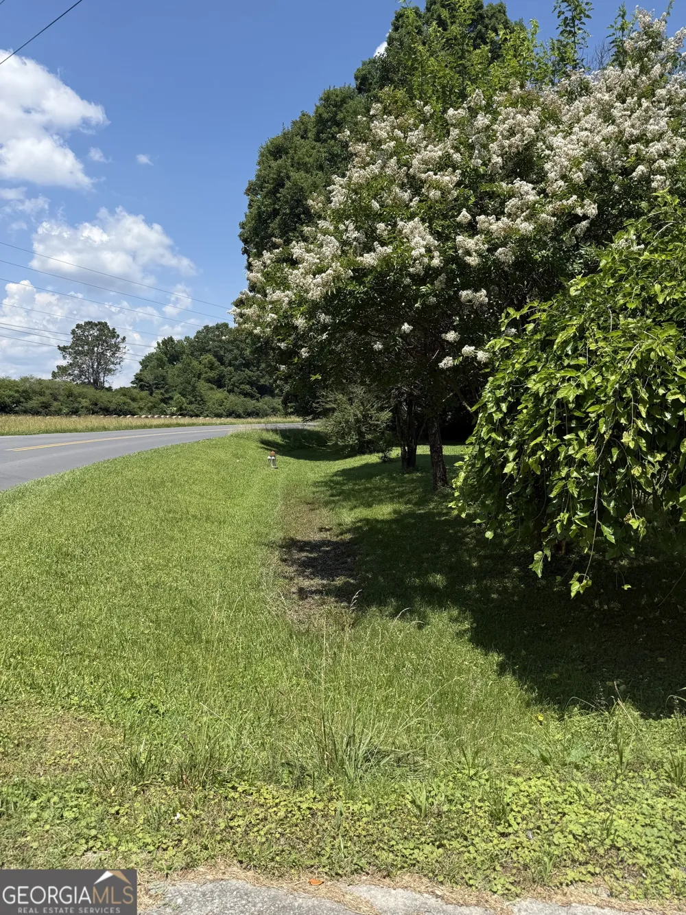 2169 Silver Hill RD Summerville, GA 30747