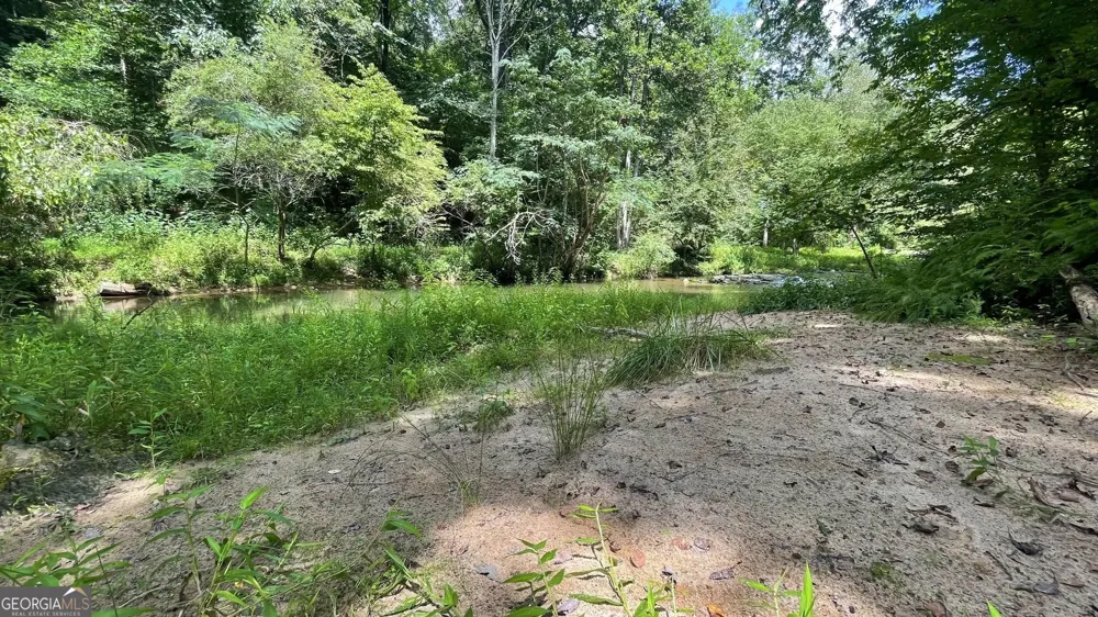 156 Thundering Waters DR Cornelia, GA 30531