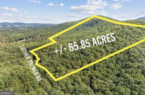 LOT 24 Luther Palmer RD