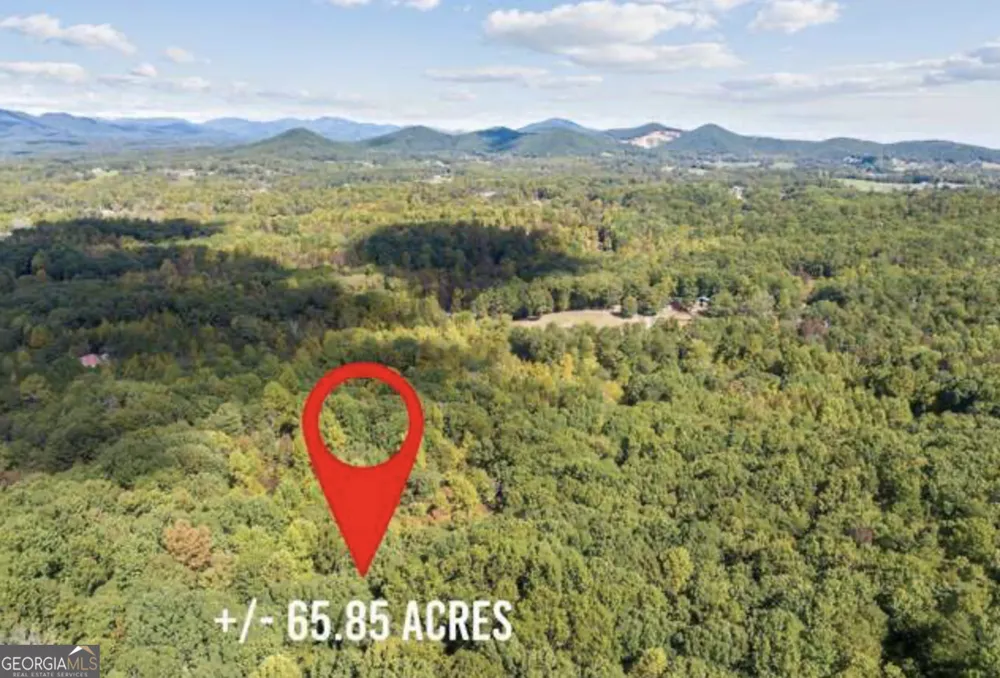LOT 24 Luther Palmer RD Cleveland, GA 30528