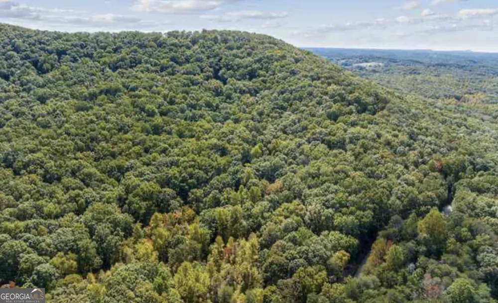 LOT 24 Luther Palmer RD Cleveland, GA 30528
