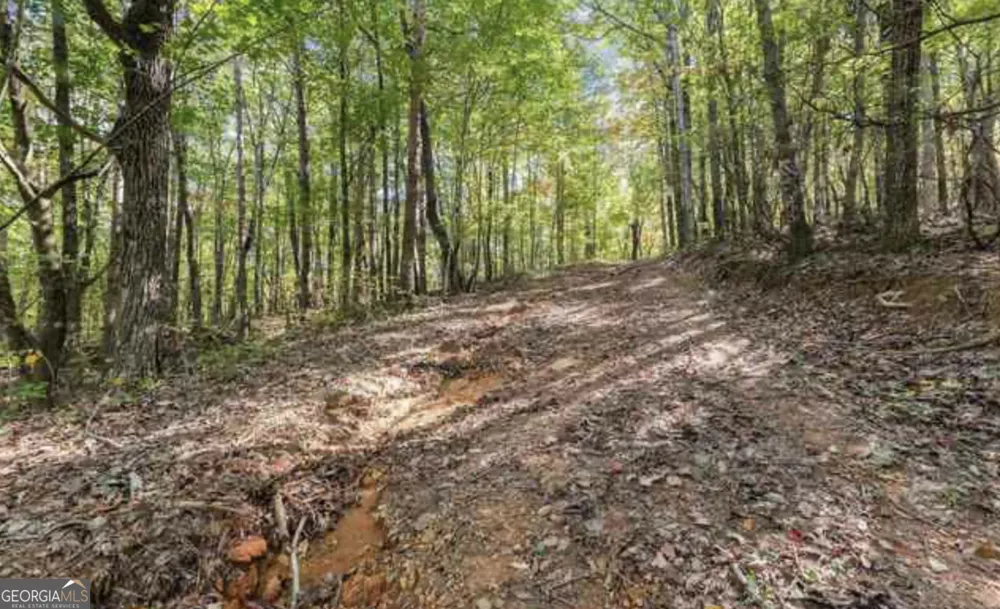 LOT 24 Luther Palmer RD Cleveland, GA 30528