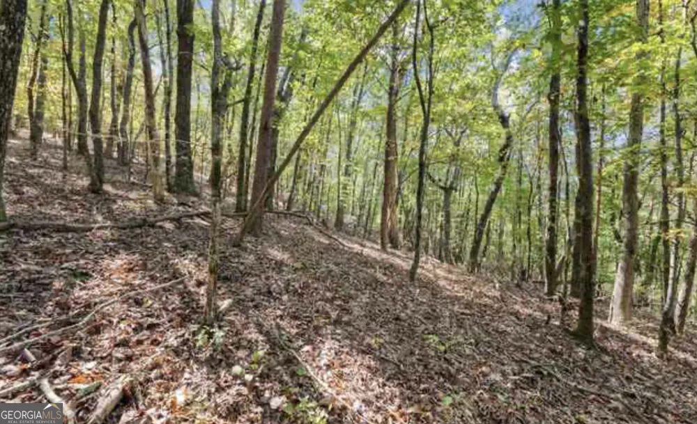 LOT 24 Luther Palmer RD Cleveland, GA 30528
