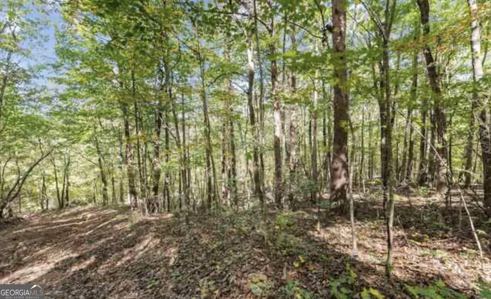 LOT 24 Luther Palmer RD Cleveland, GA 30528