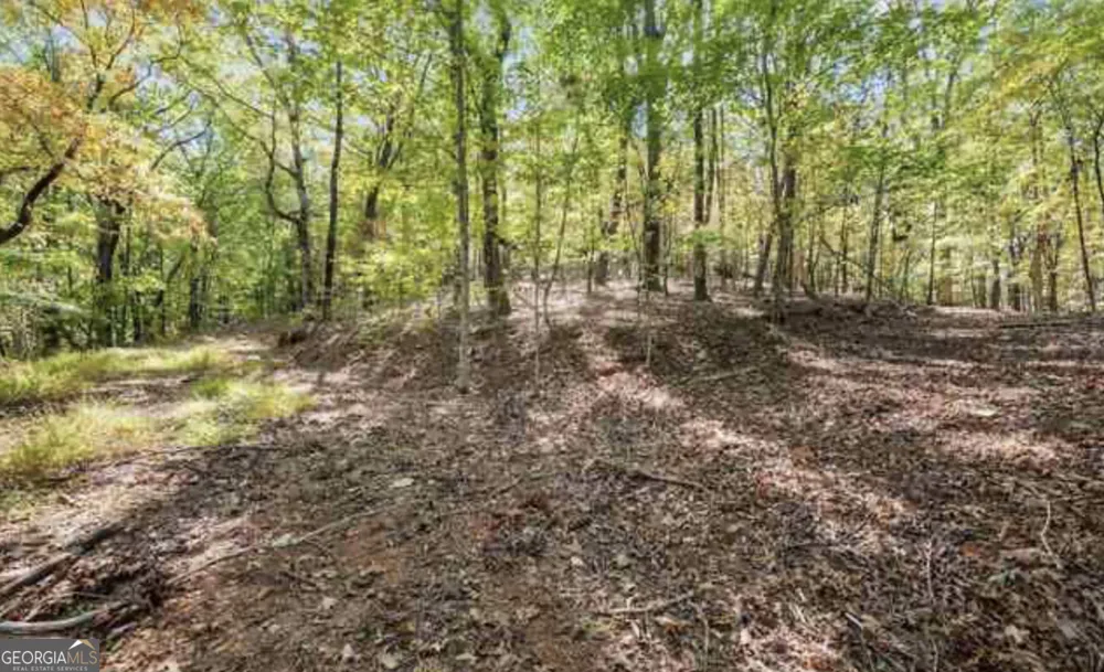 LOT 24 Luther Palmer RD Cleveland, GA 30528