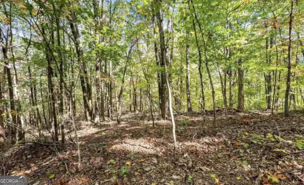 LOT 24 Luther Palmer RD Cleveland, GA 30528