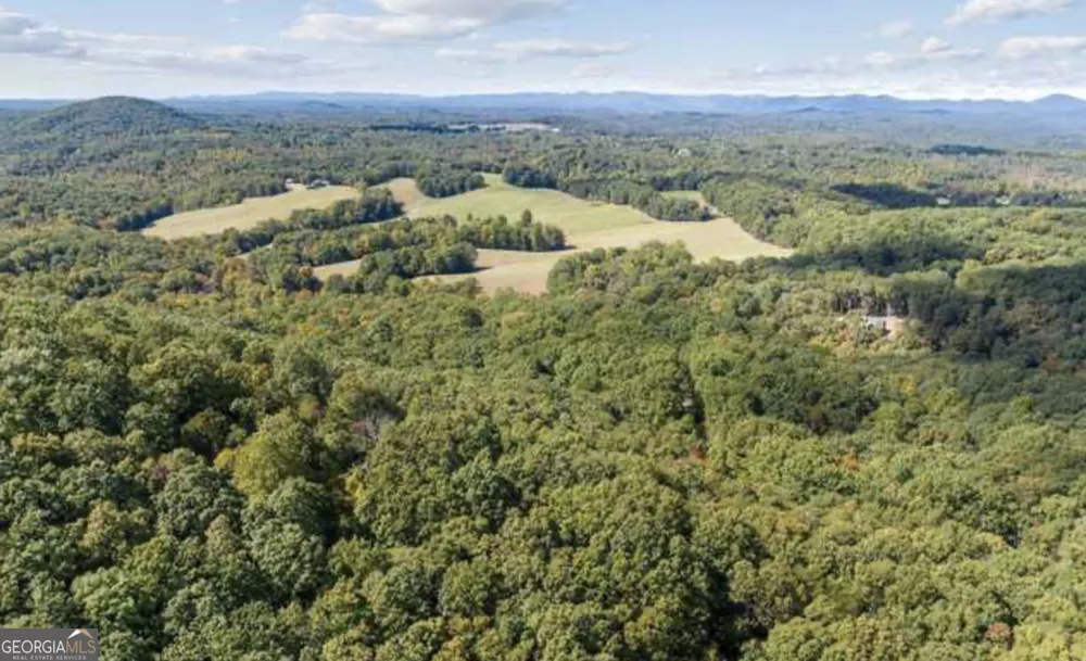 LOT 24 Luther Palmer RD Cleveland, GA 30528