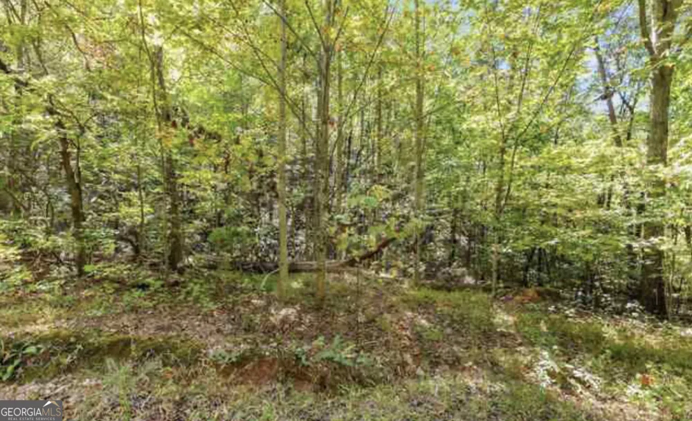 LOT 24 Luther Palmer RD Cleveland, GA 30528