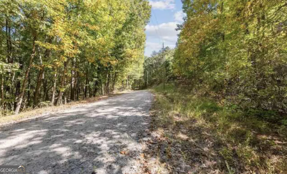 LOT 24 Luther Palmer RD Cleveland, GA 30528