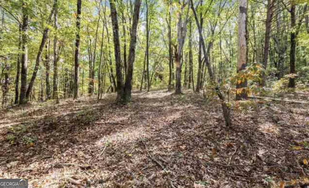 LOT 24 Luther Palmer RD Cleveland, GA 30528