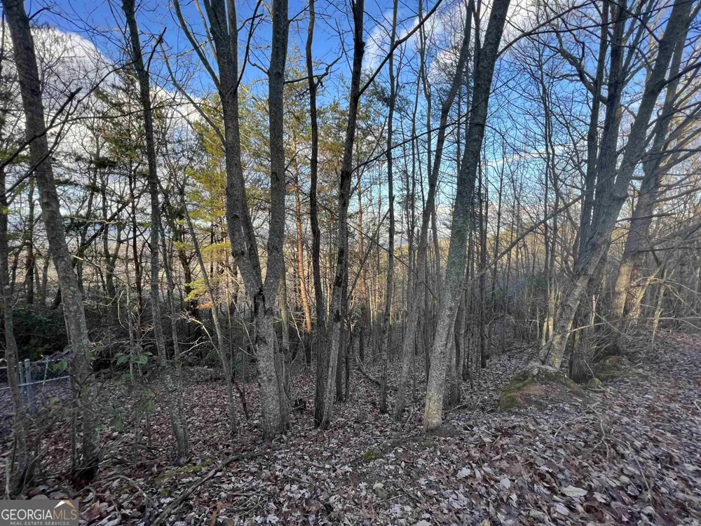 0 Daybreak RD Cleveland, GA 30528
