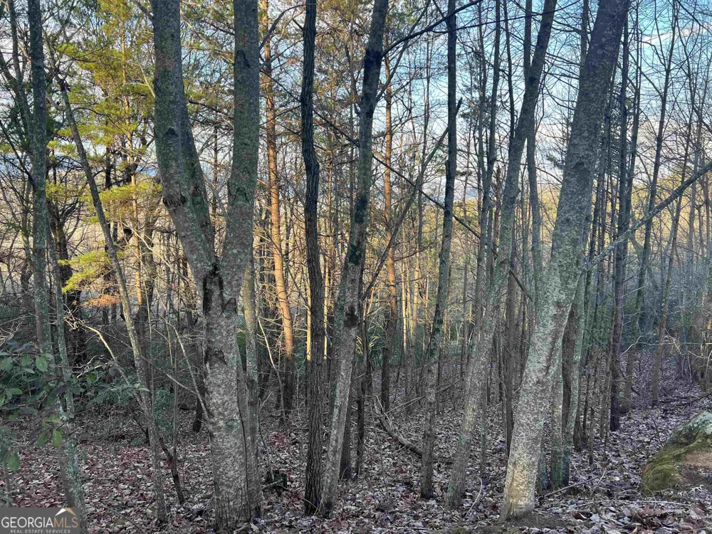 0 Daybreak RD Cleveland, GA 30528