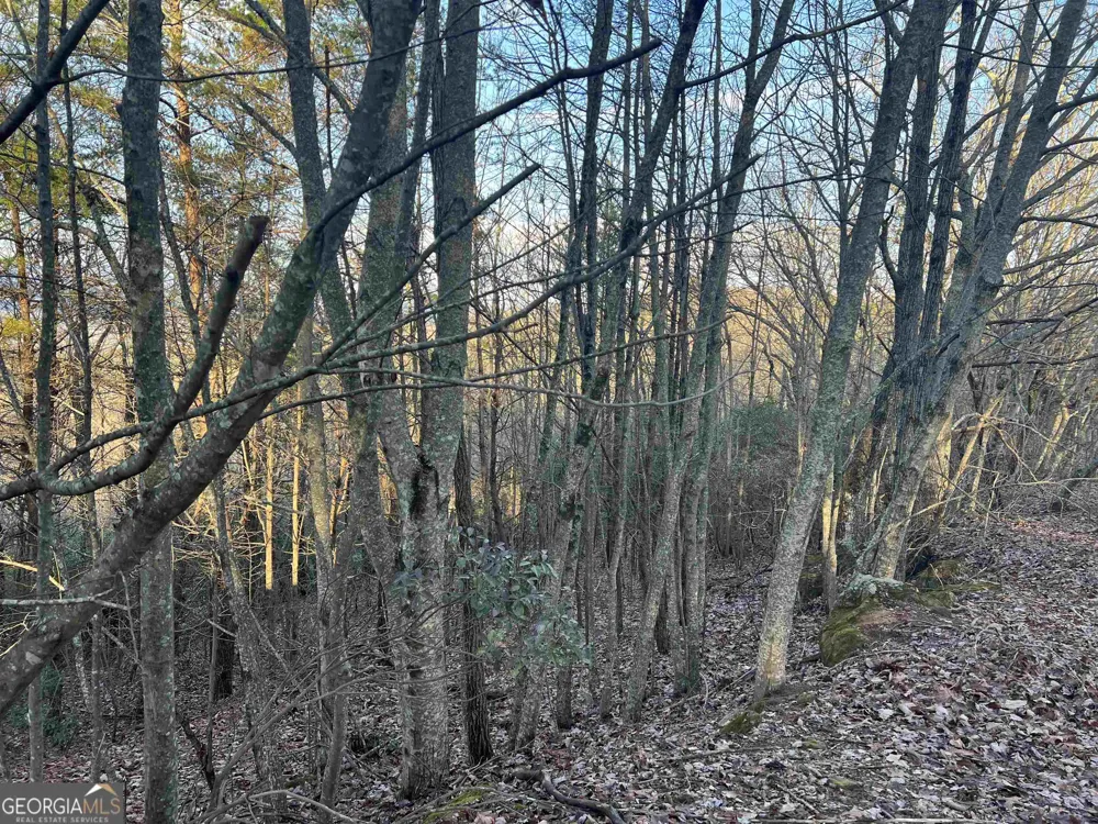 0 Daybreak RD Cleveland, GA 30528