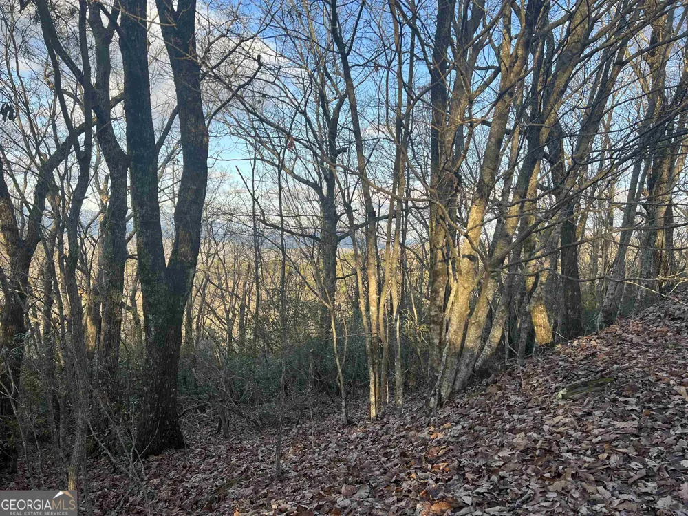 0 Daybreak RD Cleveland, GA 30528