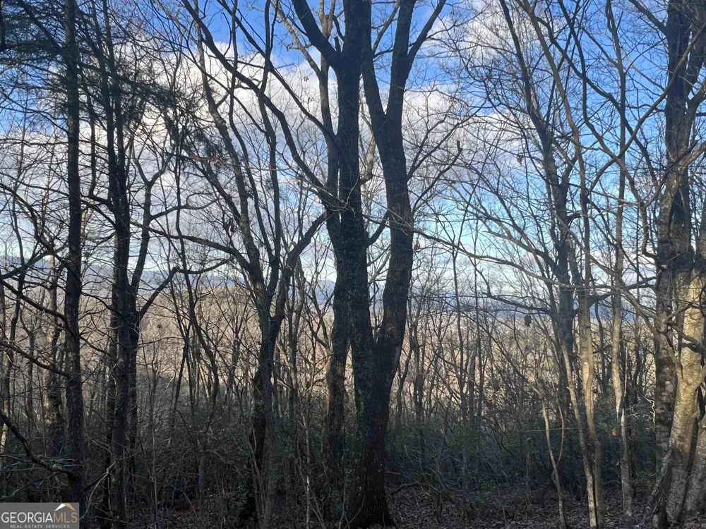 0 Daybreak RD Cleveland, GA 30528