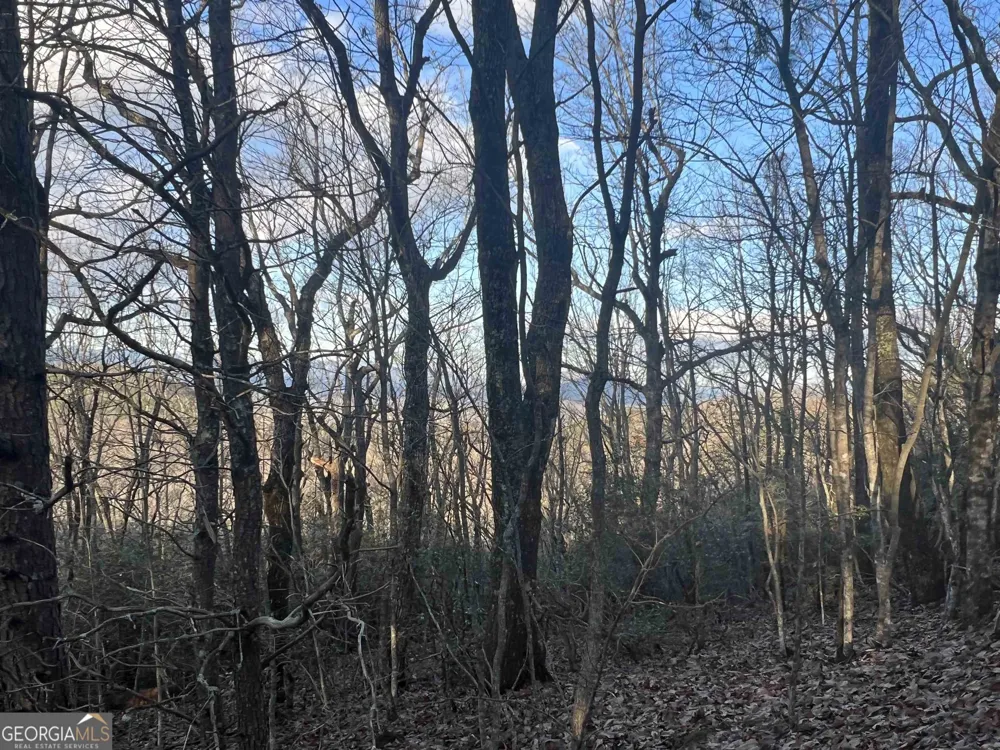 0 Daybreak RD Cleveland, GA 30528