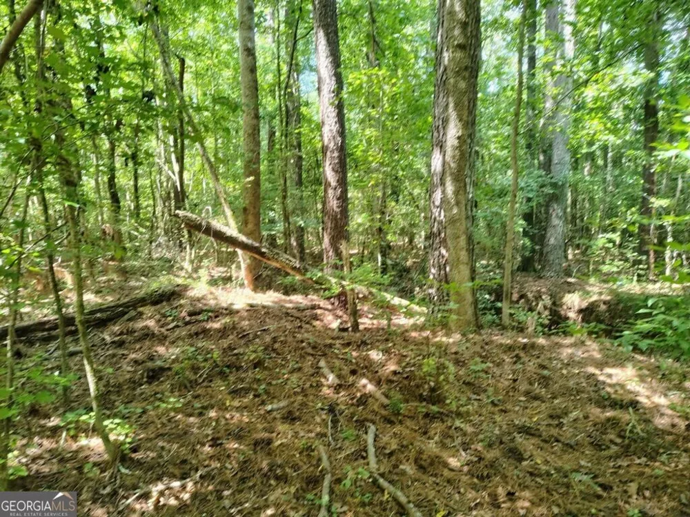2260 Athens HWY Greensboro, GA 30642