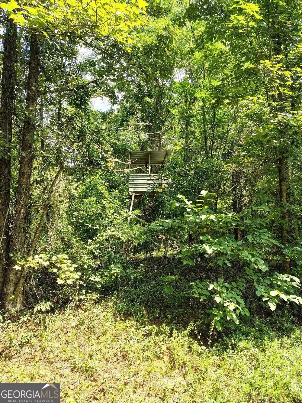 2260 Athens HWY Greensboro, GA 30642