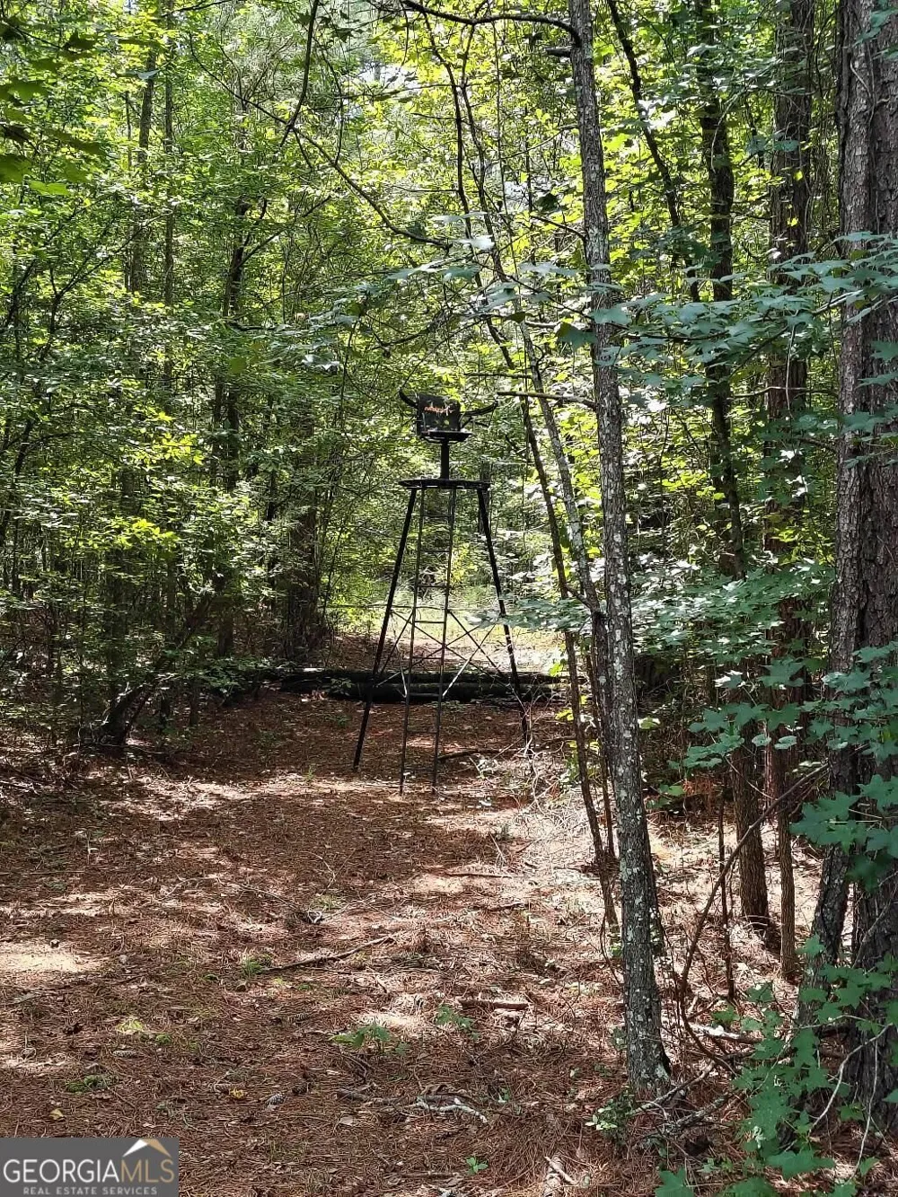 2260 Athens HWY Greensboro, GA 30642
