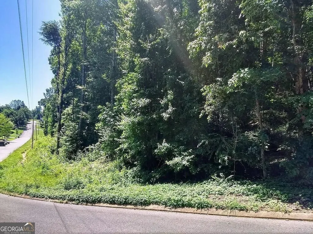 225 Hickory Ridge TRL Ringgold, GA 30736