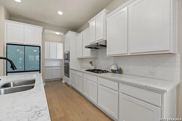 25038 Las Pilas San Antonio, TX 78261