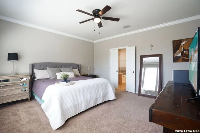 10858 Red Sage Helotes, TX 78023