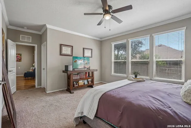 10858 Red Sage Helotes, TX 78023