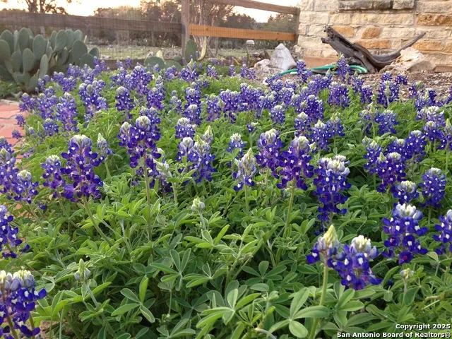 29746 Fm 3009 New Braunfels, TX 78132