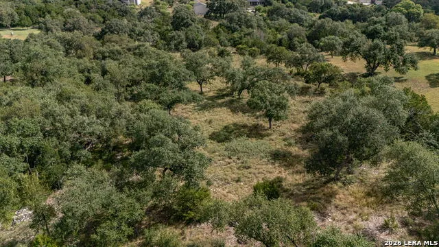 225 SHADY HOLW New Braunfels, TX 78132