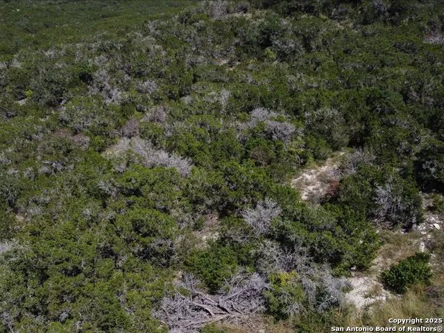 UNIT 4 LOT 11 Private Rd Mico, TX 78056