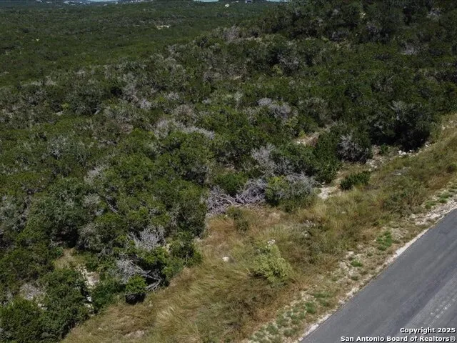 UNIT 4 LOT 11 Private Rd Mico, TX 78056